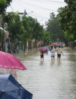 Thú lội lụt ở Huế