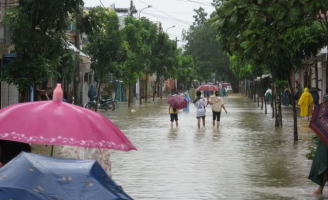 Thú lội lụt ở Huế
